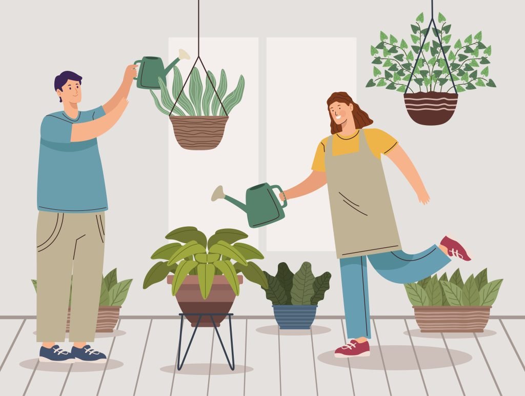 house planting 